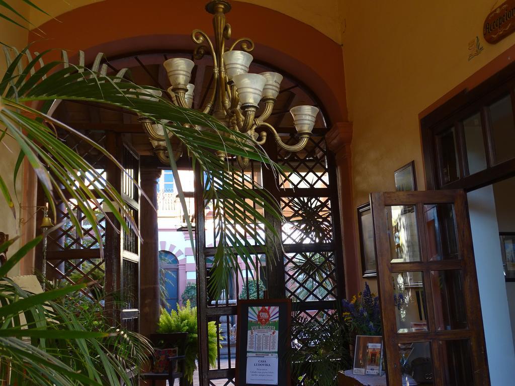 Santa Elena Hotel Boutique Mascota Dış mekan fotoğraf